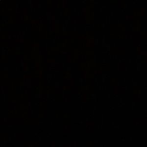 Meet your Posher, Max